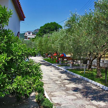 Dimos Bungalows PalaiónTsiflíkion Exteriör bild