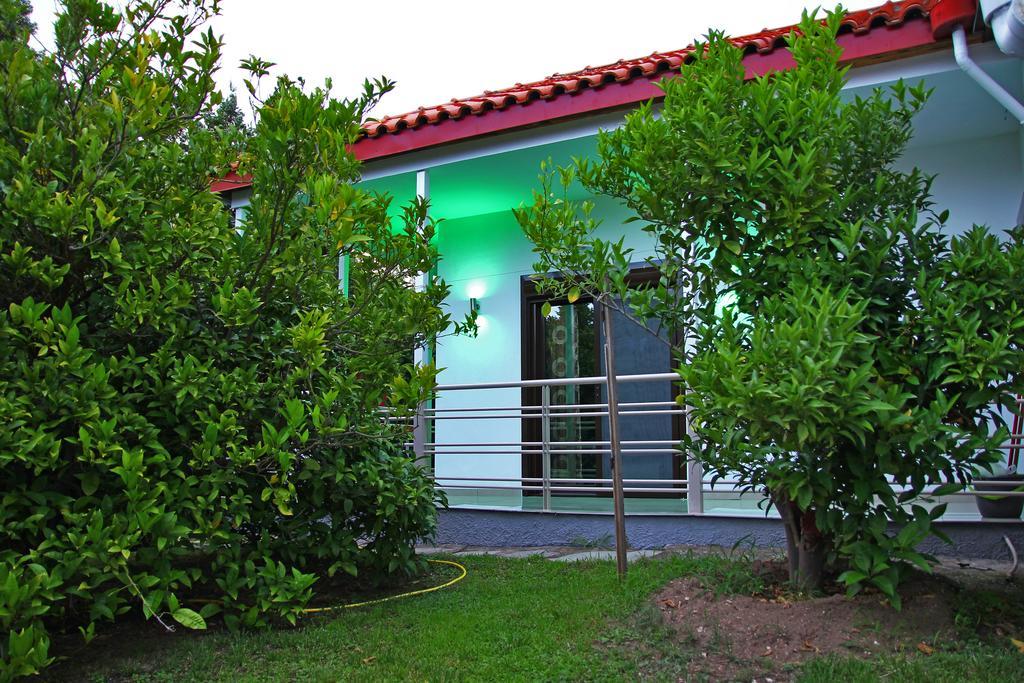 Dimos Bungalows PalaiónTsiflíkion Exteriör bild