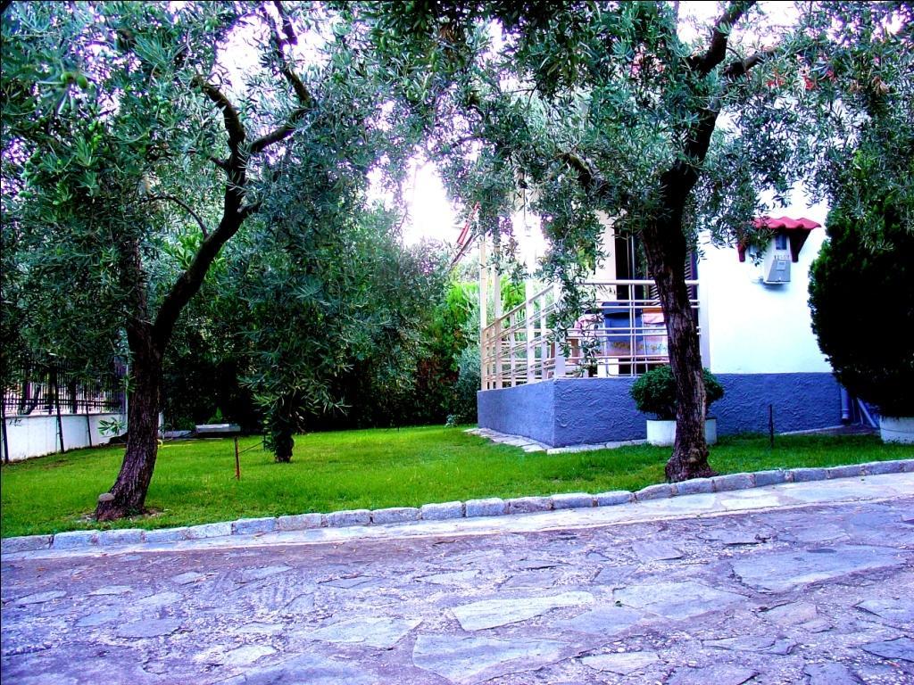 Dimos Bungalows PalaiónTsiflíkion Rum bild