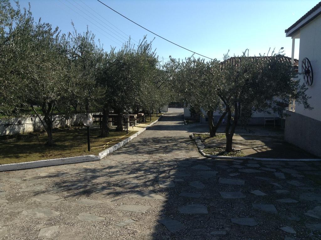 Dimos Bungalows PalaiónTsiflíkion Exteriör bild